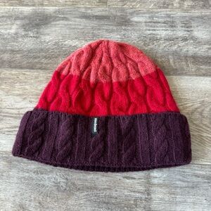 Patagonia Wool Colorblock with Fleece at the Ears